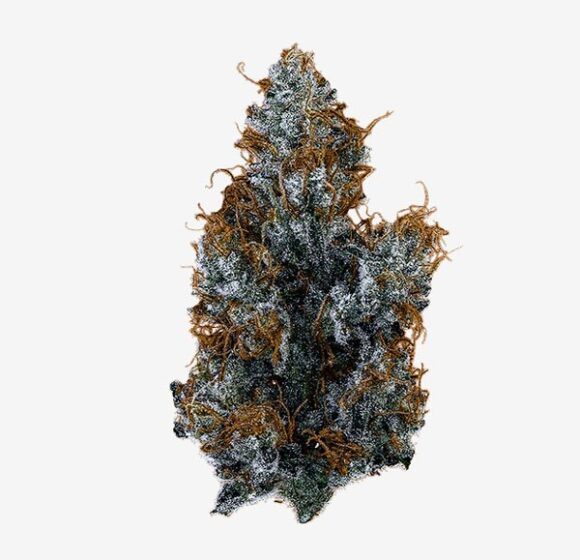 Peach Pistils # 23