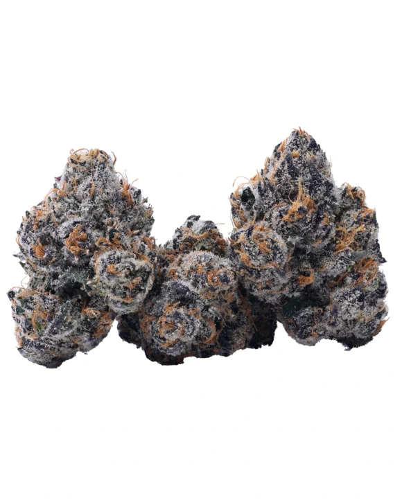 Lemon Cherry Zolato - Image 2