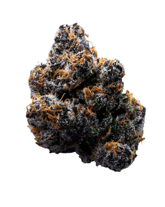 Lemon Cherry Zolato